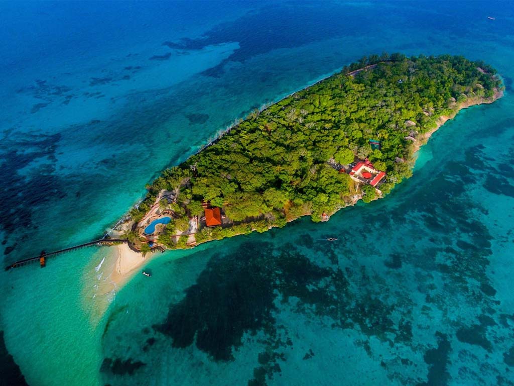 Tortues géantes d'Aldabra à Prison Island, un mélange d'histoire et de nature parmi les meilleurs sites touristiques de Zanzibar.